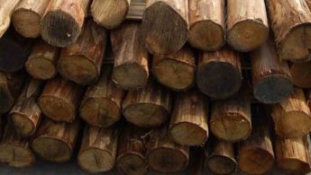Επιτροπή Ανταγωνισμού: Πρόστιμα  σε τέσσερις εταιρείες ξυλείας -Πώς λειτουργούσε το καρτέλ